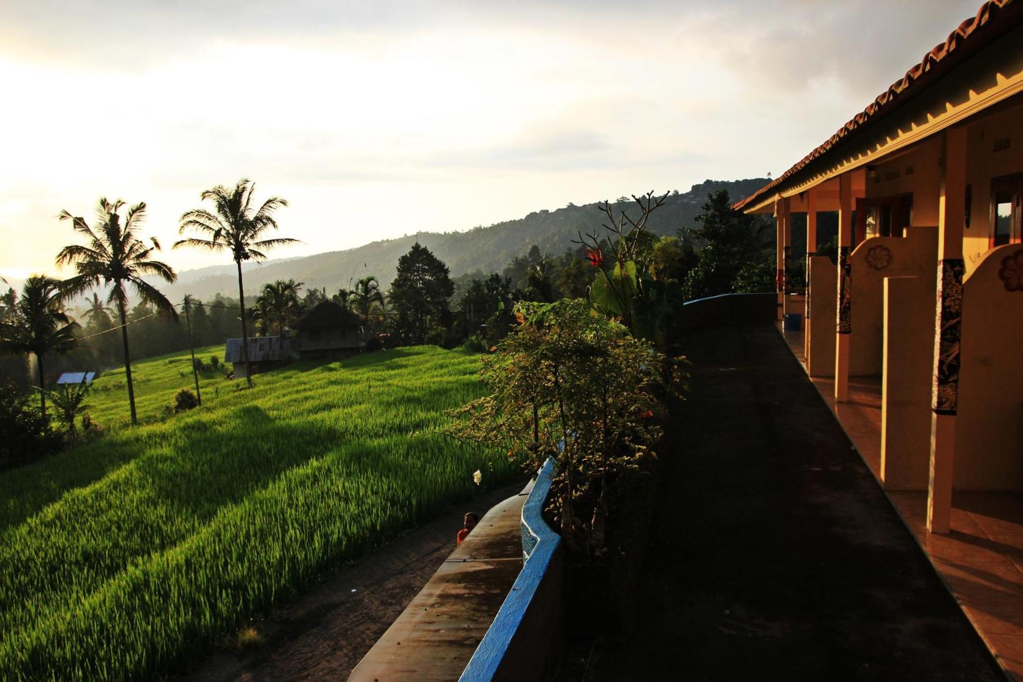Gangga Homestay Munduk Dış mekan fotoğraf